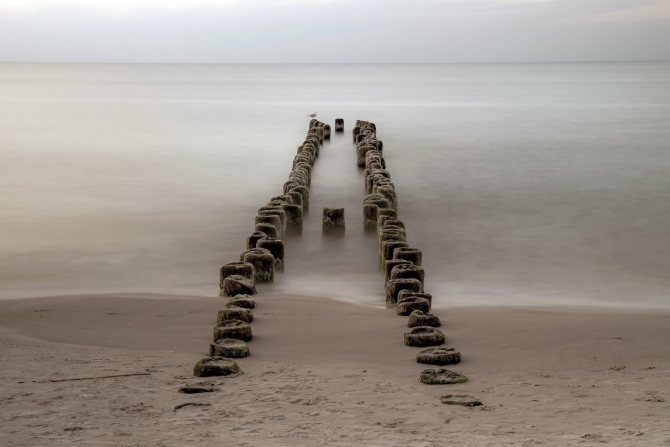 Piles of the old breakwater